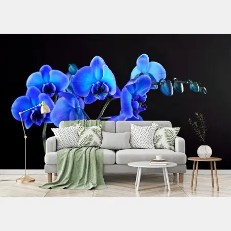 Fotomural orquídea azul sobre fondo negro – Pixers®