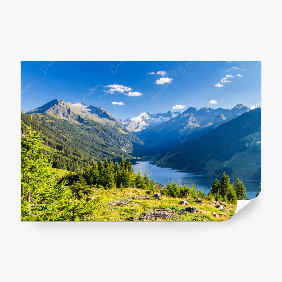 Fotomural panorámica alpina de valle, lago y pinos – Pixers®