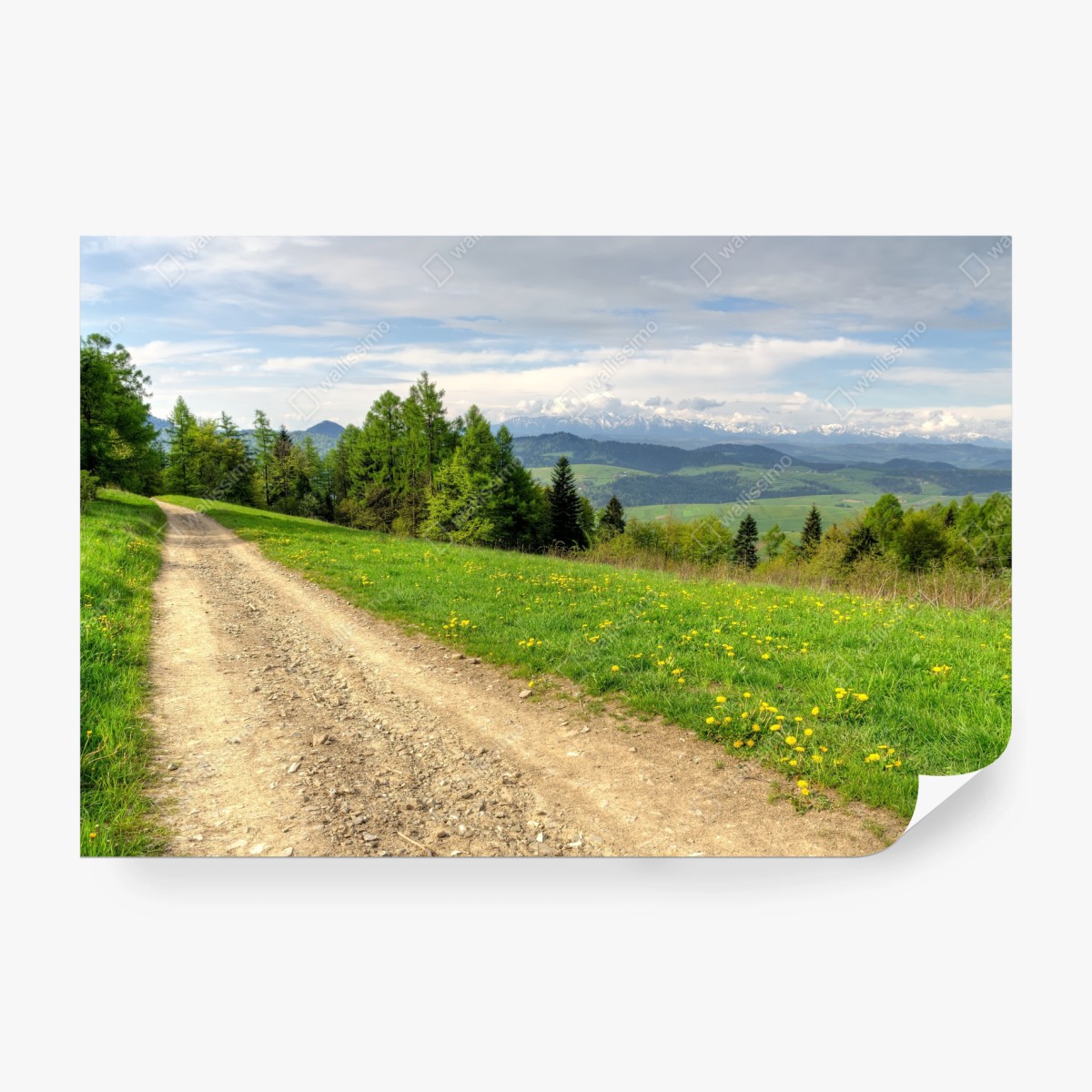 Fotomural paisaje primaveral en Gorce, Polonia – Pixers®