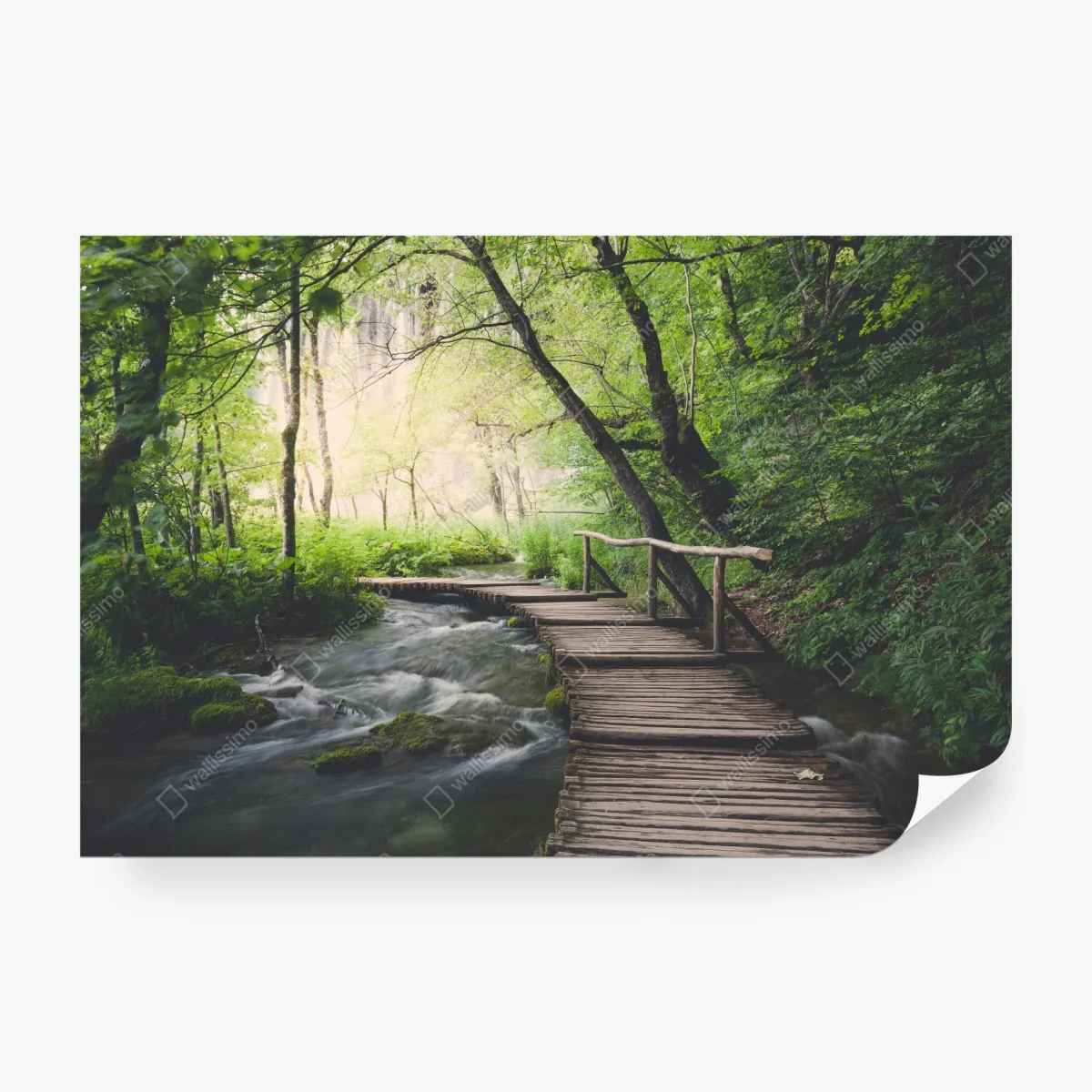 Fotomural sendero de madera en bosque frondoso junto al río – Pixers®