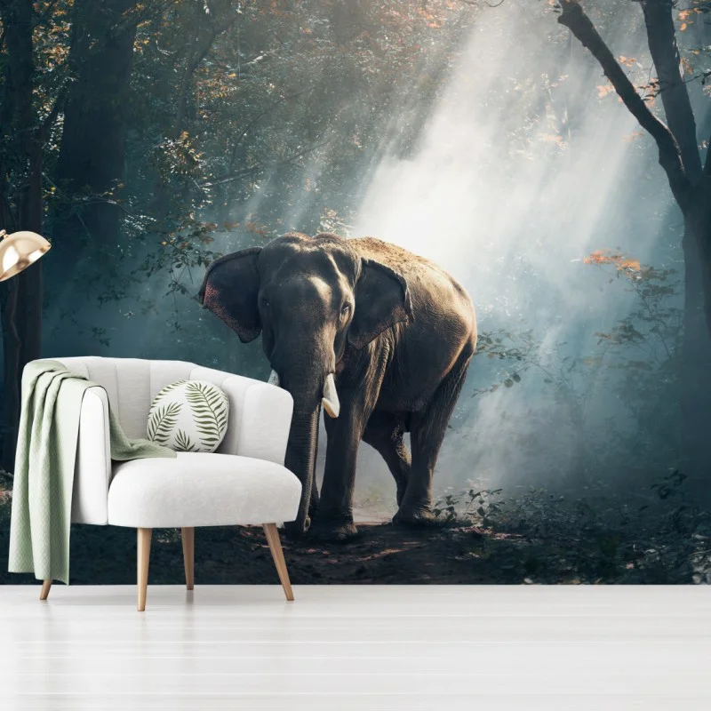 Fotomural elefante entre rayos de luz en el bosque