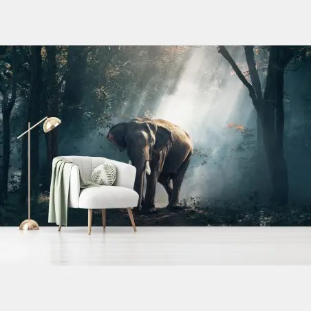 Fotomural elefante entre rayos de luz en el bosque – Pixers®