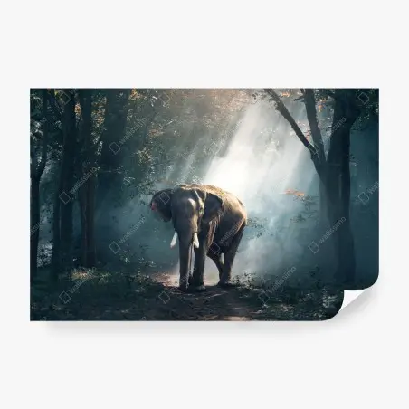 Fotomural elefante entre rayos de luz en el bosque – Pixers®