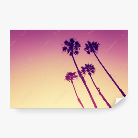 Fotomural puesta de sol en Sunset Cliffs, San Diego – Pixers®