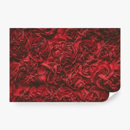 Fotomural claveles rojos efecto retro para decoración – Pixers®