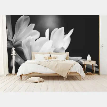 Fotomural primer plano de magnolia en blanco y negro – Pixers®