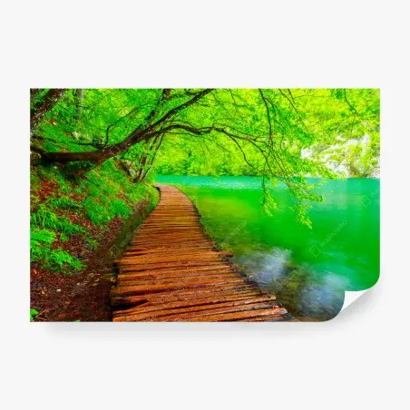 Fotomural sendero de madera junto al lago en bosque verde – Pixers®