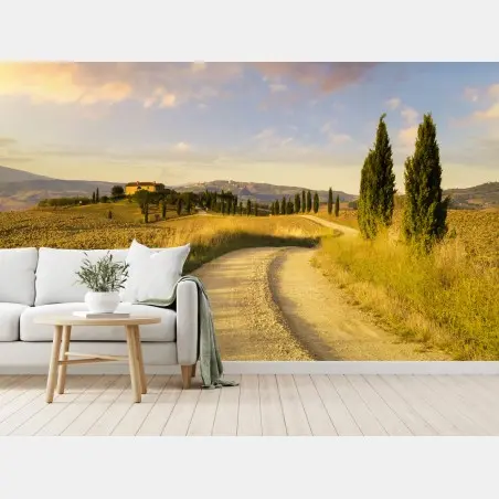 Fotomural camino rural en la Toscana al atardecer – Pixers®