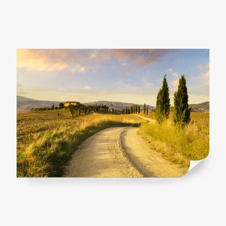 Fotomural camino rural en la Toscana al atardecer – Pixers®