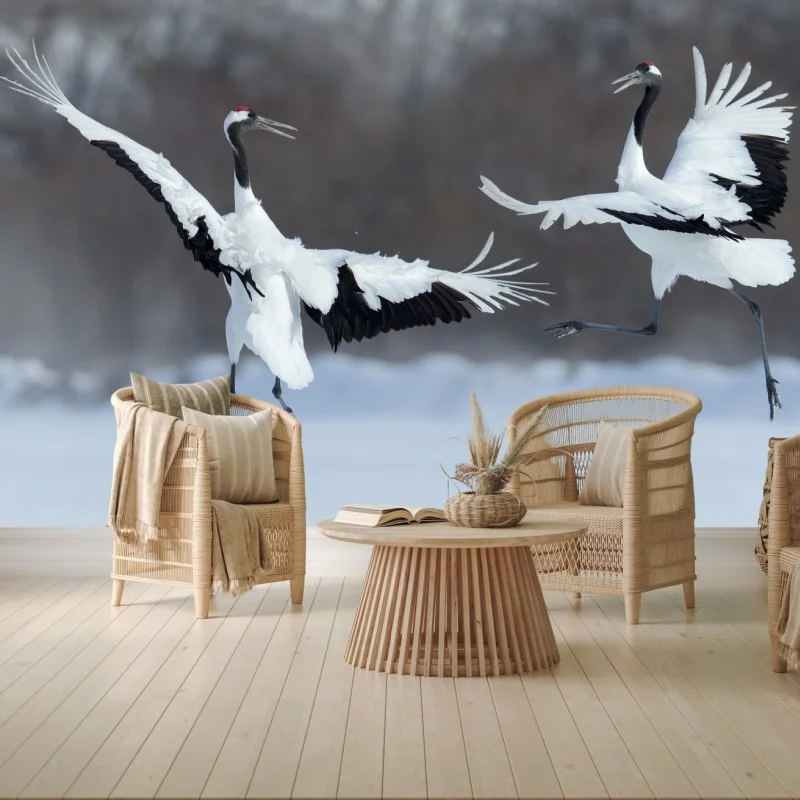 Fotomural grullas en danza en Hokkaido