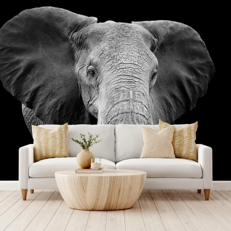 Fotomural elefante en blanco y negro, mirada majestuosa