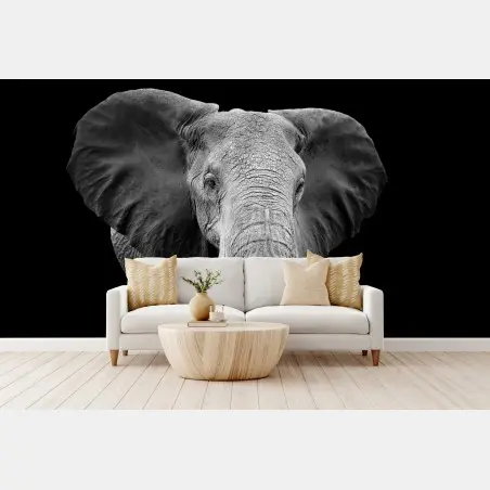 Fotomural elefante en blanco y negro, mirada majestuosa – Pixers®