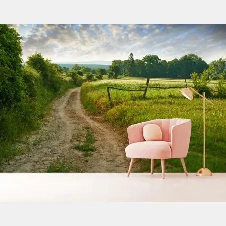 Fotomural camino rural entre prados al amanecer – Pixers®