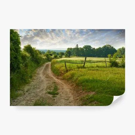 Fotomural camino rural entre prados al amanecer – Pixers®