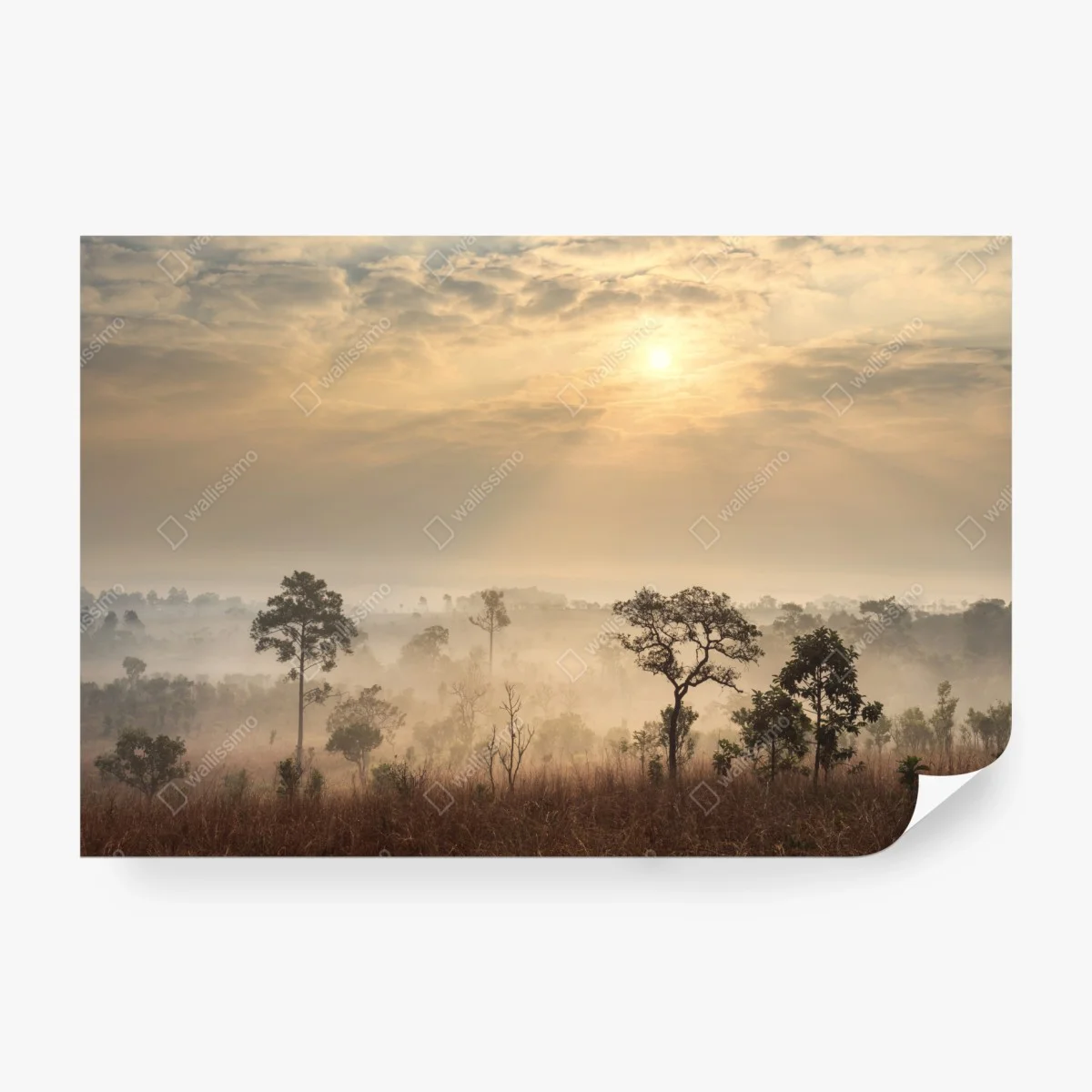 Fotomural amanecer en la sabana de Tailandia – Pixers®