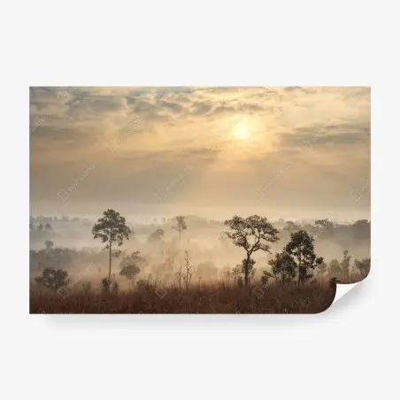Fotomural amanecer en la sabana de Tailandia – Pixers®