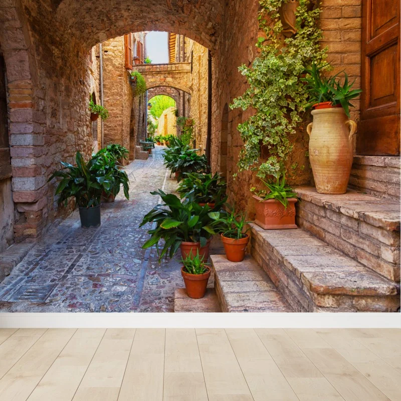 Fotomural calle empedrada con macetas en Spello, Umbria