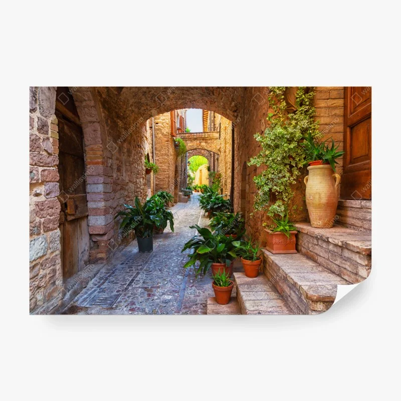 Fotomural calle empedrada con macetas en Spello, Umbria