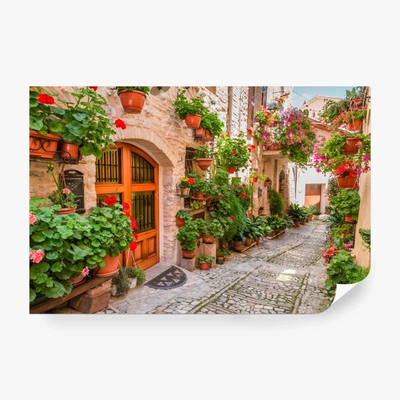 Fotomural encanto de un callejón florido en Umbría