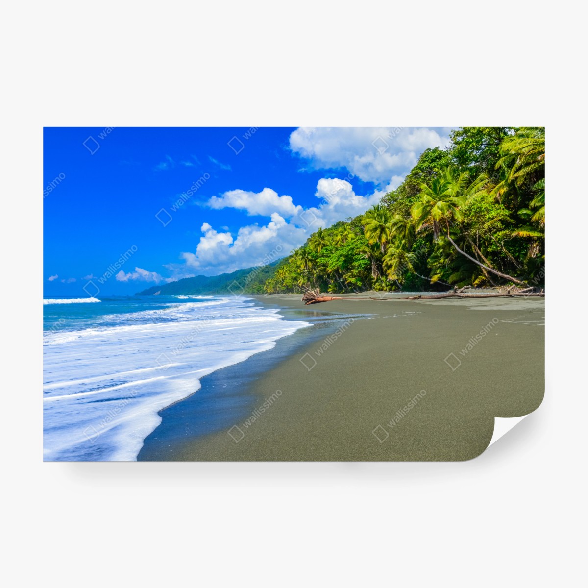 Fotomural playa salvaje de Corcovado, Costa Rica – Pixers®