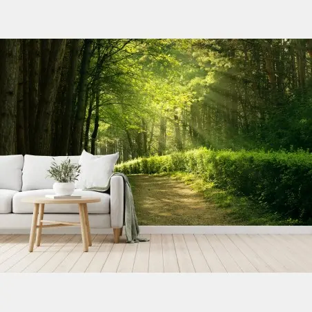 Fotomural sendero luminoso en el bosque – Pixers®