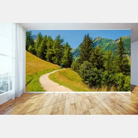 Fotomural sendero alpino en Suiza – Pixers®