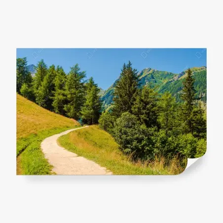 Fotomural sendero alpino en Suiza – Pixers®