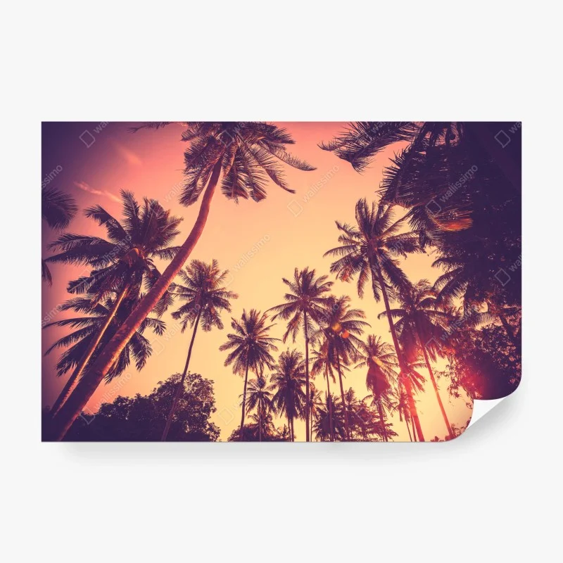 Fotomural atardecer tropical vintage con palmeras