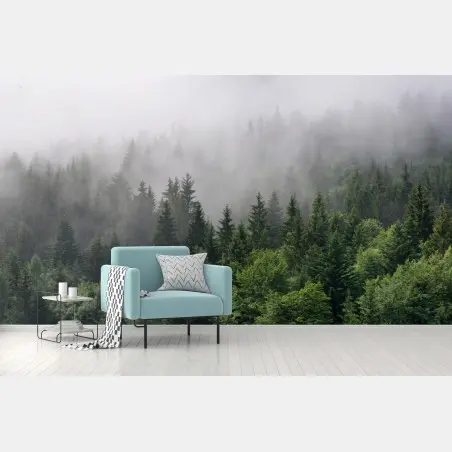 Fotomural bosque perenne entre la niebla – Pixers®