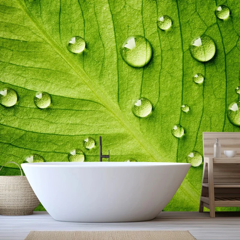Fotomural hoja verde con gotas de rocío