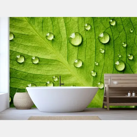 Fotomural hoja verde con gotas de rocío – Pixers®