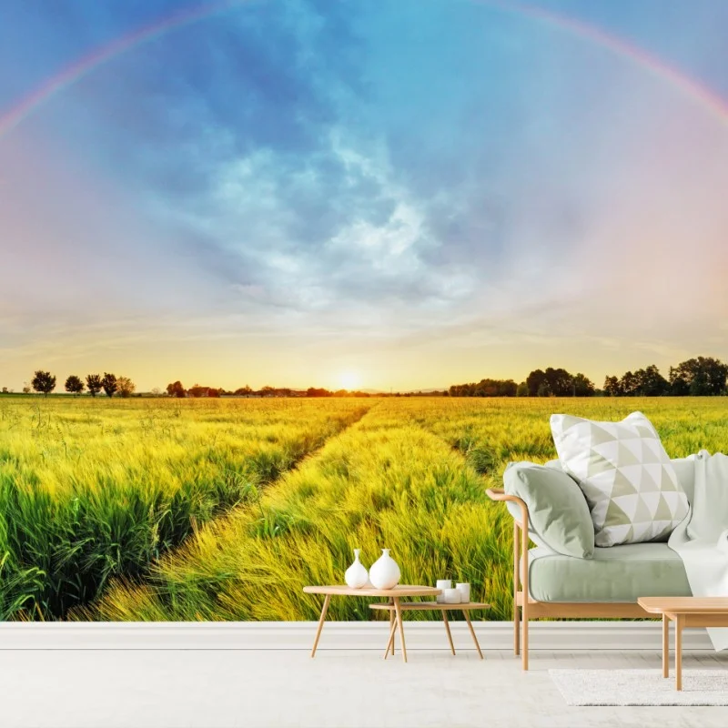 Fotomural arcoíris sobre campo de trigo al atardecer