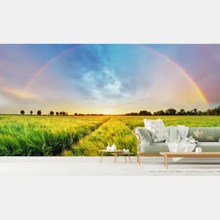 Fotomural arcoíris sobre campo de trigo al atardecer – Pixers®