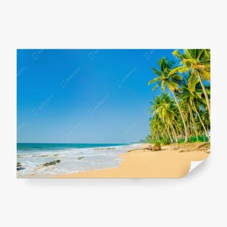 Fotomural paraíso tropical junto al mar – Pixers®