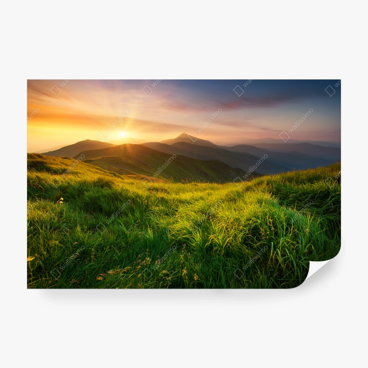 Fotomural amanecer dorado en el valle montañoso – Pixers®
