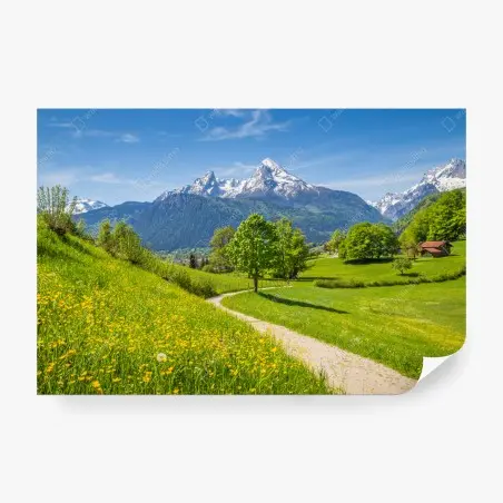 Fotomural paisaje alpino con sendero entre praderas floridas – Pixers®
