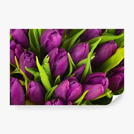 Fotomural ramo de tulipanes morados en primer plano – Pixers®