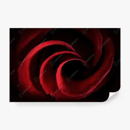 Fotomural espiral de pétalos rojos – Pixers®