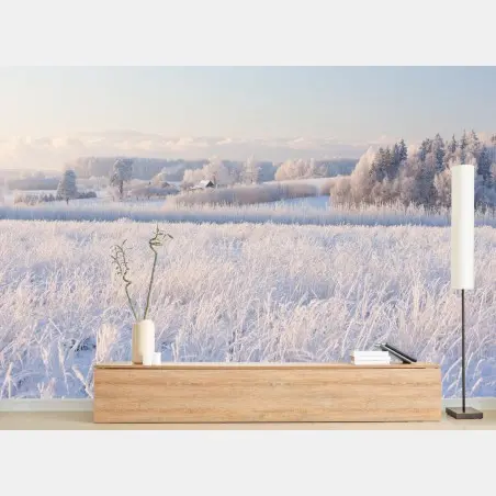 Fotomural paisaje invernal con escarcha y luz suave – Pixers®