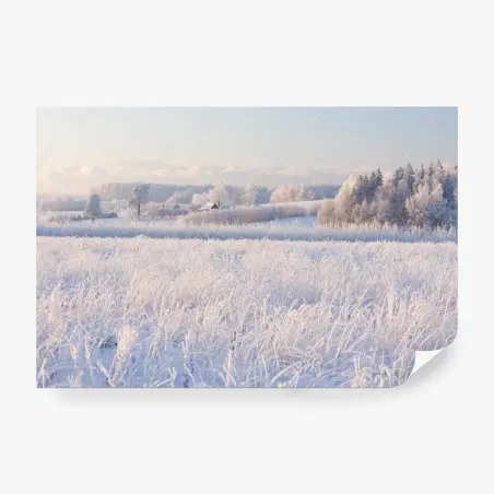 Fotomural paisaje invernal con escarcha y luz suave – Pixers®