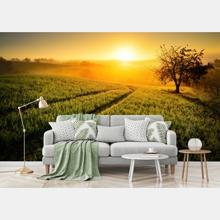 Fotomural amanecer dorado en laderas onduladas – Pixers®