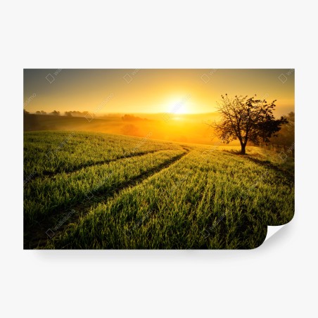 Fotomural amanecer dorado en laderas onduladas – Pixers®