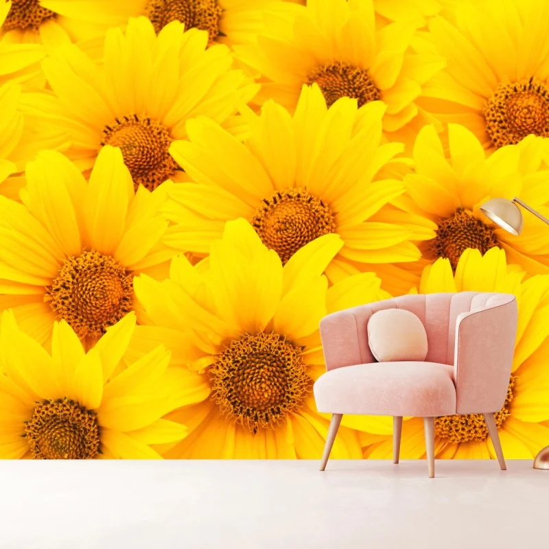 Fotomural explosión de girasoles luminosos