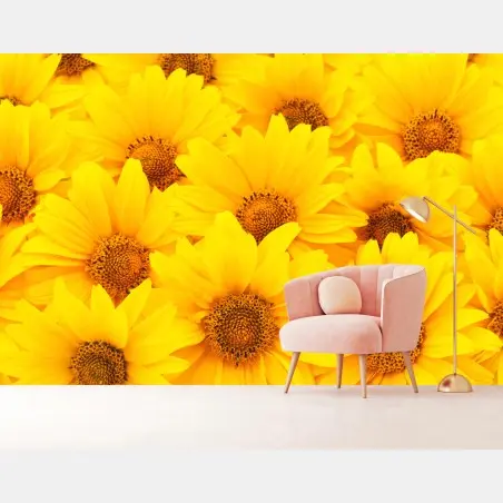 Fotomural explosión de girasoles luminosos – Pixers®