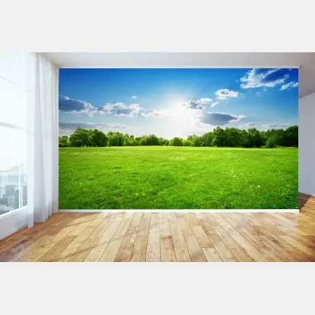 Fotomural amanecer sobre pradera verde y cielo azul – Pixers®