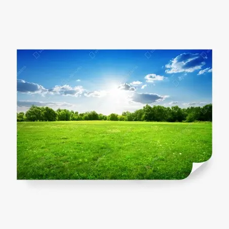 Fotomural amanecer sobre pradera verde y cielo azul – Pixers®