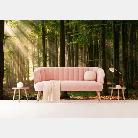 Fotomural bosque iluminado al amanecer – Pixers®