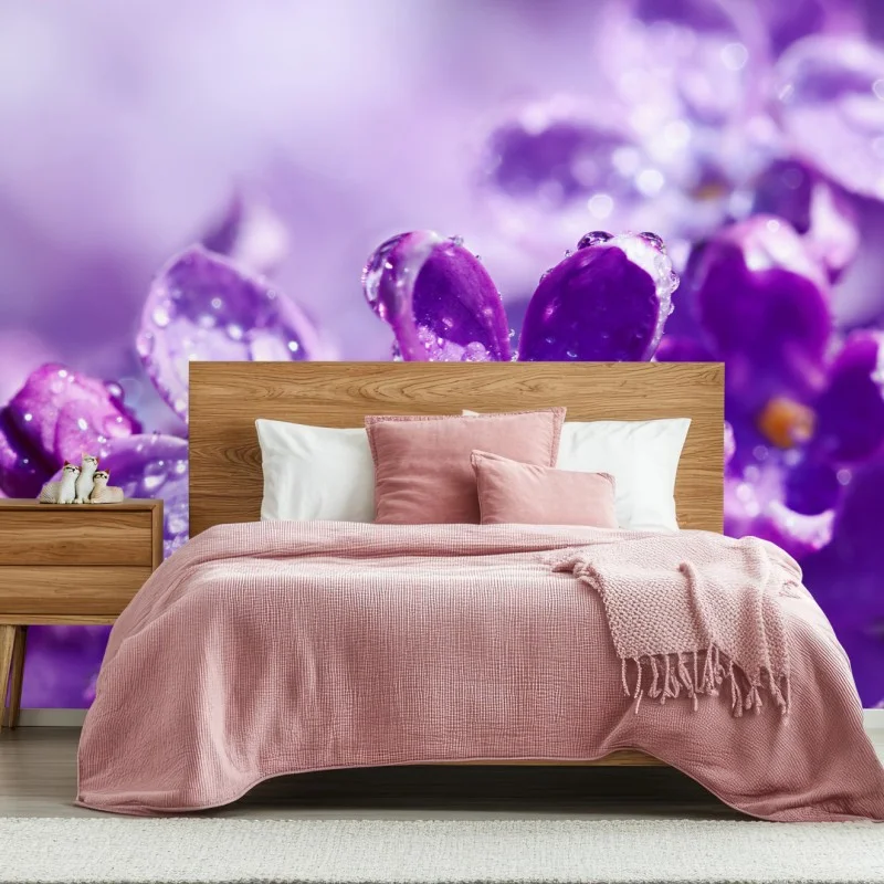 Fotomural lilas moradas en primer plano con gotas de rocío