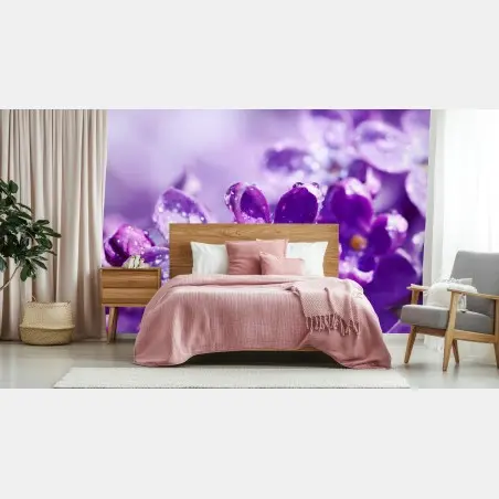 Fotomural lilas moradas en primer plano con gotas de rocío – Pixers®
