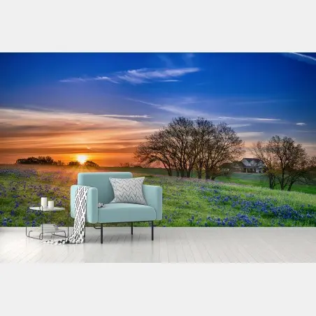 Fotomural amanecer en Texas con campo de bluebonnets – Pixers®